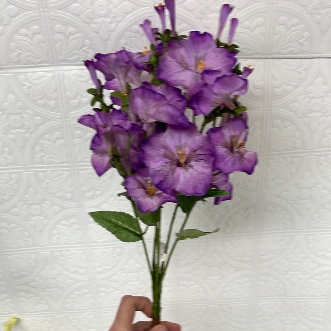 Long stem morning glory 