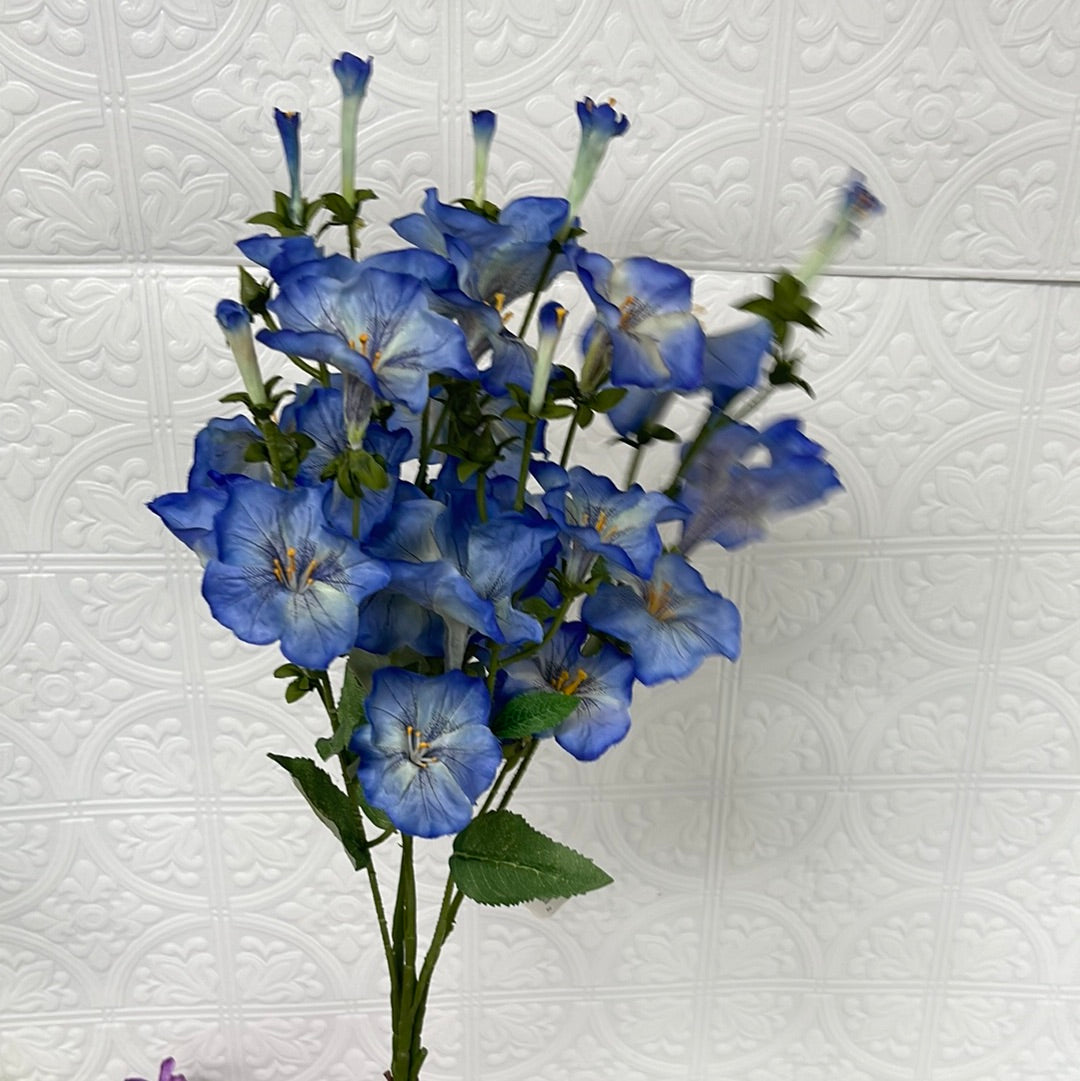 Long stem morning glory 