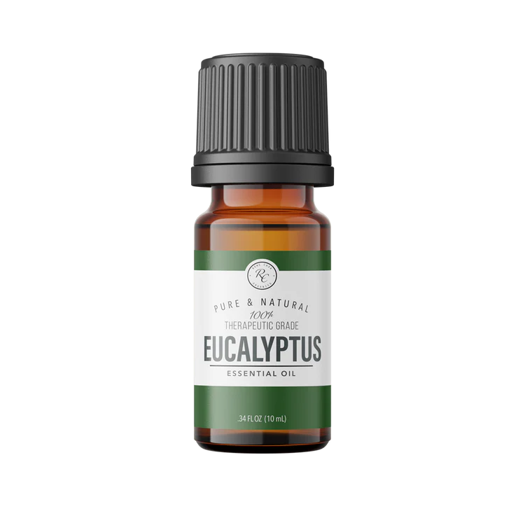 Essential Oil 10 ml, Eucalyptus