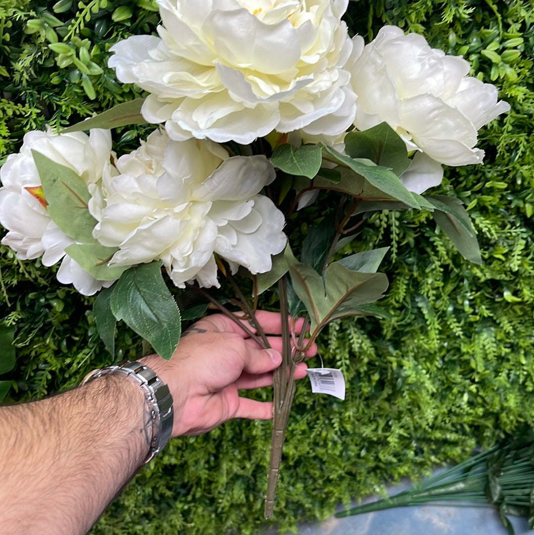 White peony