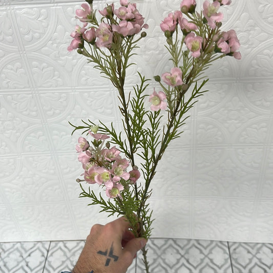 Long stem wax pink flowers ￼