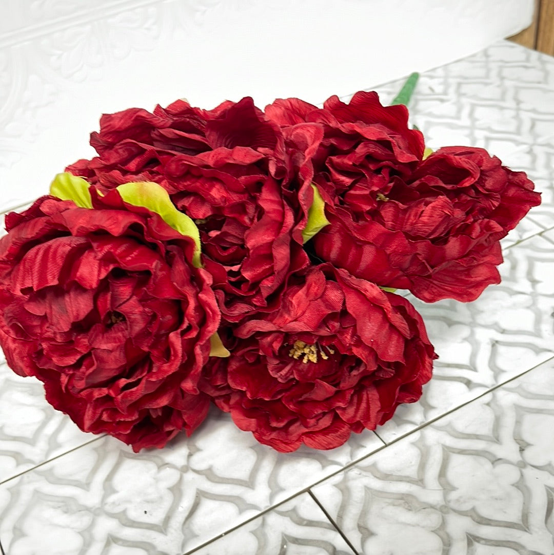 Red peony